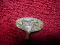 DSCN0327.webp