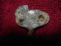 DSCN0328.webp