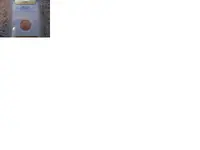 new penny.webp