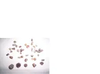 sapphire 1.webp