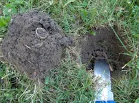 Nugget_Hole.webp