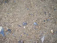 100_1703.webp