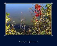 motivator6340809.webp