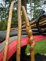 Hikingsticks2.webp