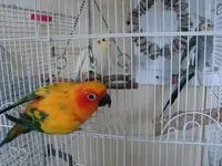 DSC00017-1.webp