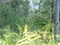 DSCF1439.webp