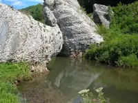 DSCF1393.webp