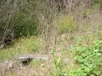 DSCF1379.webp