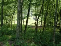 DSCF1383.webp