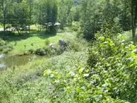 DSCF1388.webp
