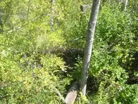 DSCF1416.webp