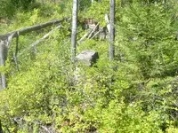 DSCF1418.webp