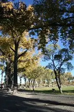 park.webp