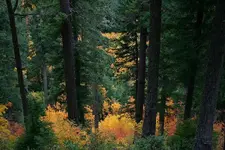 saltcreek 10 - 11 - 7 012_RT8.webp