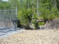 DSCF1422.webp