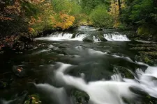 saltcreek 10 - 11 - 7 001_RT8.webp