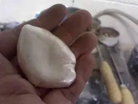 silvermetl5hand.webp
