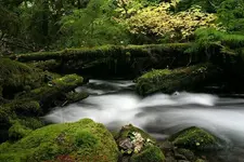 saltcreek 10 - 11 - 7 004_RT8.webp