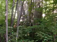 DSCF1426.webp