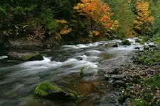 saltcreek 10 - 11 - 7 008_RT8_2.webp