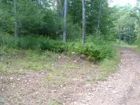 DSCF1430.webp