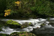 saltcreek 10 - 11 - 7 011_RT8_2.webp