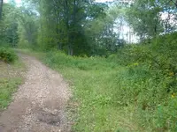 DSCF1434.webp