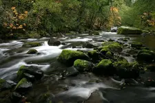 saltcreek 10 - 11 - 7 010_RT8.webp