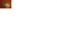 4.webp