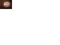 5.webp