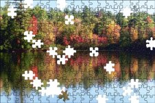fall puzzle.jpg