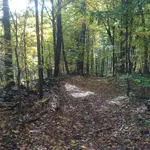 10-17-15 -road.webp