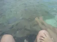 ring found 2.webp