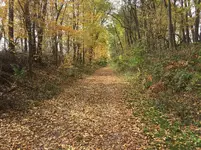 bike_path.webp