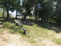 IMG_1609.webp IMG_1609.webp
