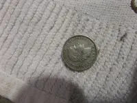 SAM_0491.webp