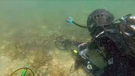 ctx3030-scuba-1.webp