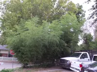 SAM_0485.webp