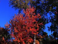 025.webp