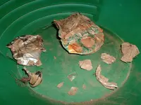 DSCF0023.webp