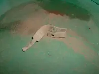 DSCF0027.webp