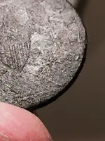 ImageUploadedByTreasureNet.com1445652694.105947.webp