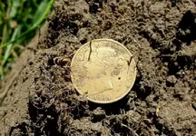 20150523_105208 gold coin.webp