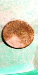 DSCF0017.webp