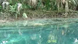 Silver River 2.webp