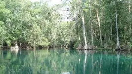 Silver River 3.webp