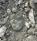 ring.webp