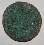coin back.webp