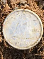 CDA Silver one2.webp