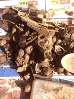 ImageUploadedByTreasureNet.com1445688806.792494.webp